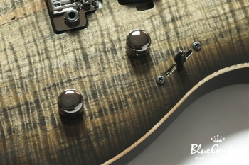 FUTURA-S HH LTD / Alder Back Spalted Maple Top Body - Transparent Black